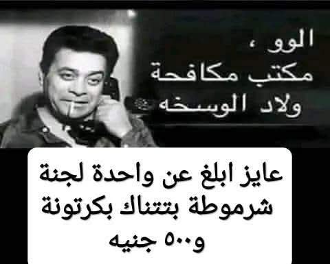 سامي القط tweet media
