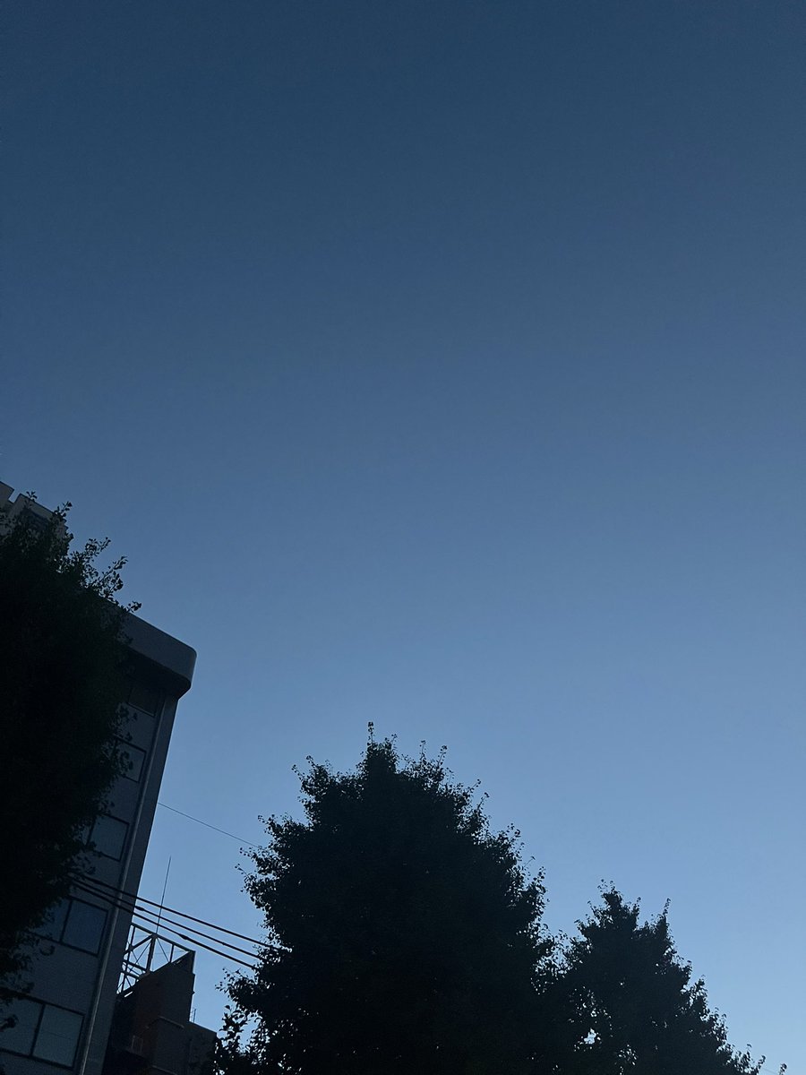 Rb23Raven_'s tweet photo. おはよう……(やらかしたの顔) https://t.co/mDHGHdNYcR