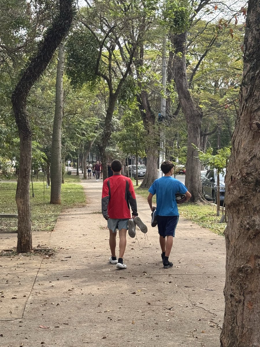 marcosvixmvs's tweet photo. “Por que crescestes, curuminhOS” https://t.co/tJJ308VRfQ