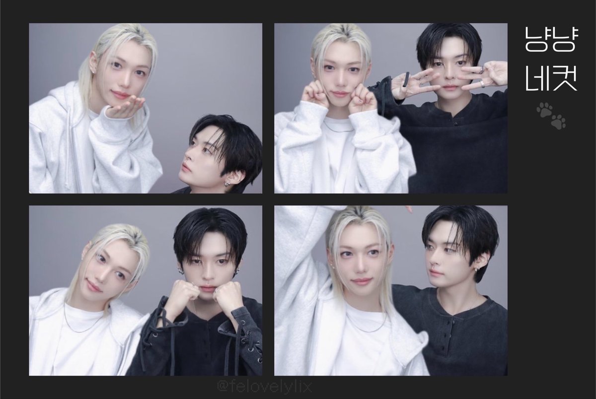 starsynth915's tweet photo. RT @felovelylix: #냥냥라차 네컷 📸🐾 https://t.co/svaIaNhCtq