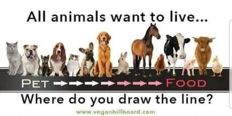 _hlaf's tweet photo. ?? who is eating horse https://t.co/VMYUBZuwt4
