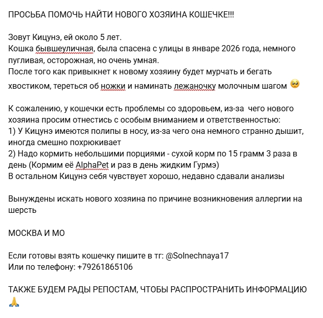 Vergessensiedas's tweet photo. ❗️❗️❗️СРОЧНО ИЩЕМ НОВЫЙ ДОМ КОШЕЧКЕ
ОТЗОВИТЕСЬ ДО 1 АВГУСТА❗️❗️❗️

МОСКВА И МО
Зовут Кицунэ, около 5 лет.  Есть прививки, недавно сдавали анализы. Все подробности на скрине

Если готовы взять кошечку пишите в тг: @Solnechnaya17
Или по телефону: +79261865106 https://t.co/12Gxmdvtsm