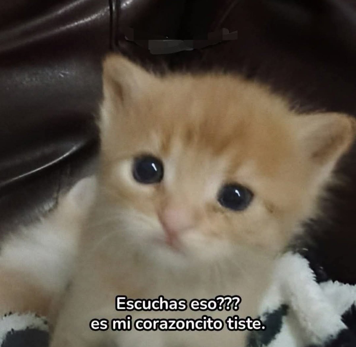 angelo_uf's tweet photo. Yo haciendo mis dramas: https://t.co/x9vJlstx46