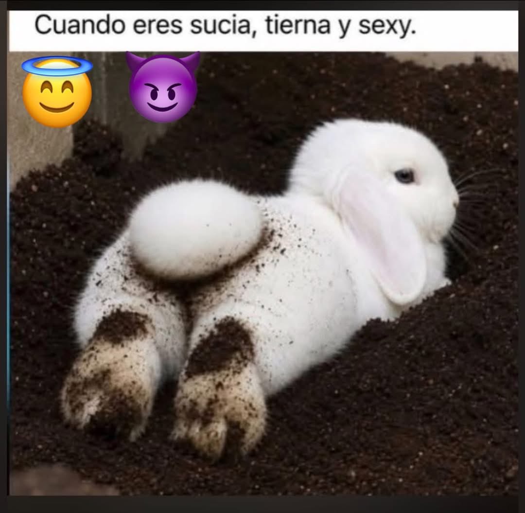 Inesy Orozco tweet media