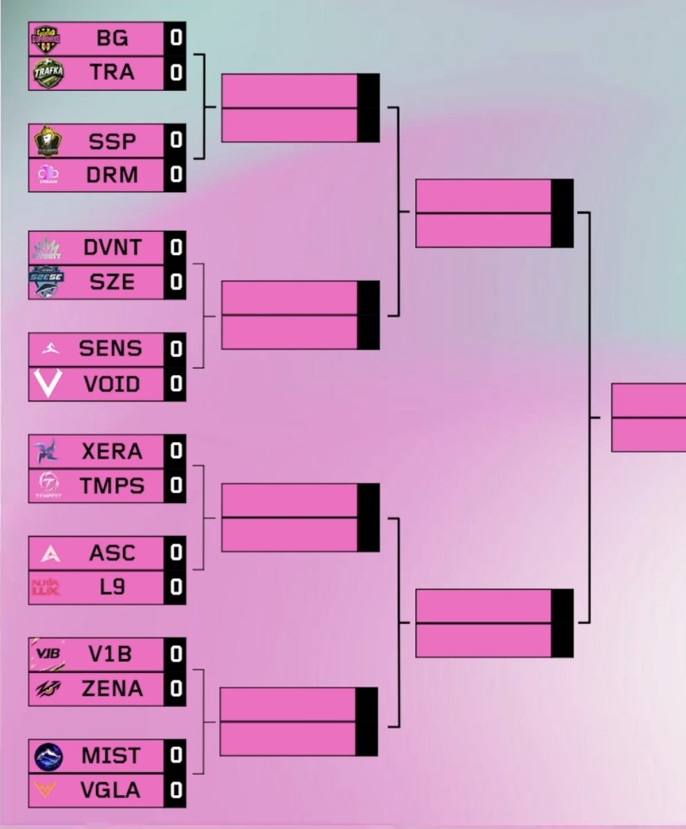 Void Esports tweet media