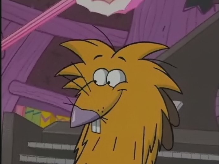 bugnoirsk1's tweet photo. Do i need to explain? 
#angrybeavers #theangrybeavers #norbertbeaver https://t.co/802y0gOMpV