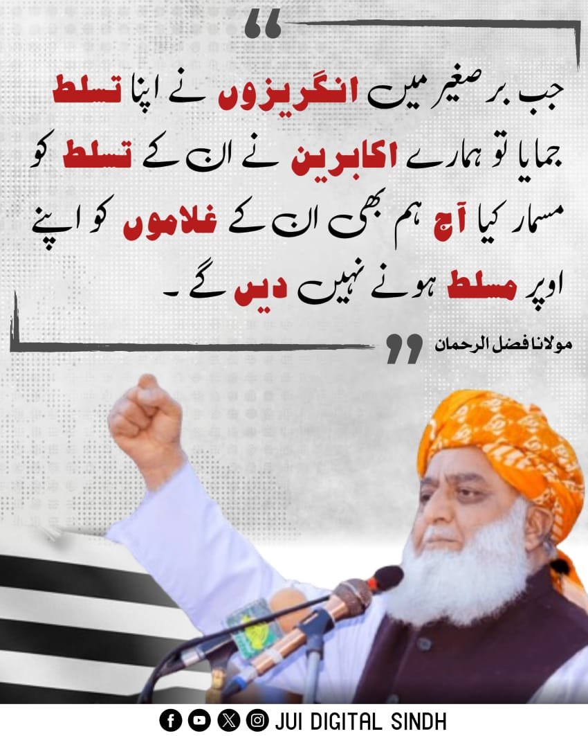 Zia Hassan tweet media