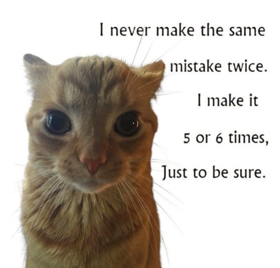 literallymecats's tweet photo. https://t.co/k2ALHgflSU