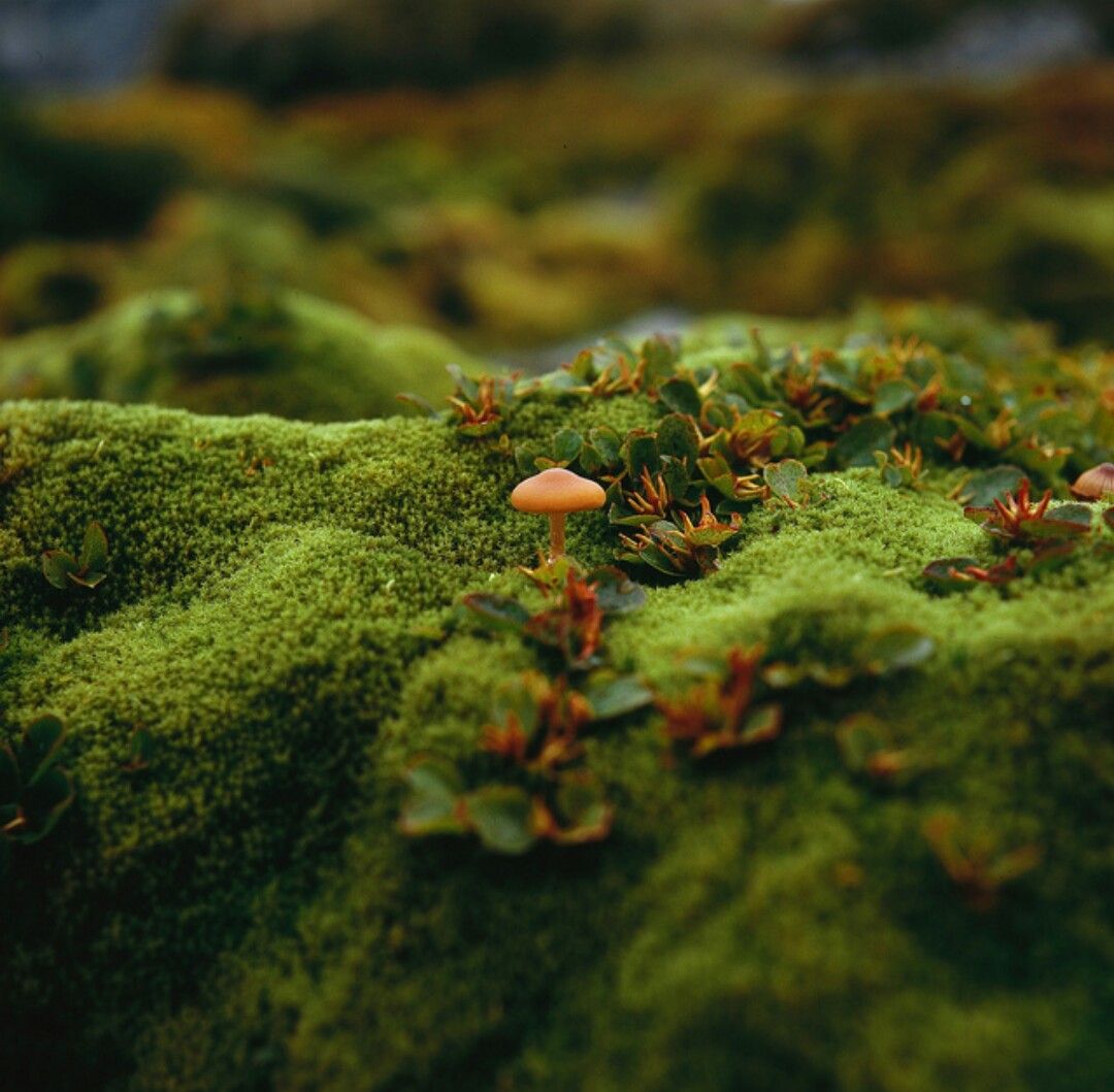 aestheticpost's tweet photo. https://t.co/JrInC00Wor
