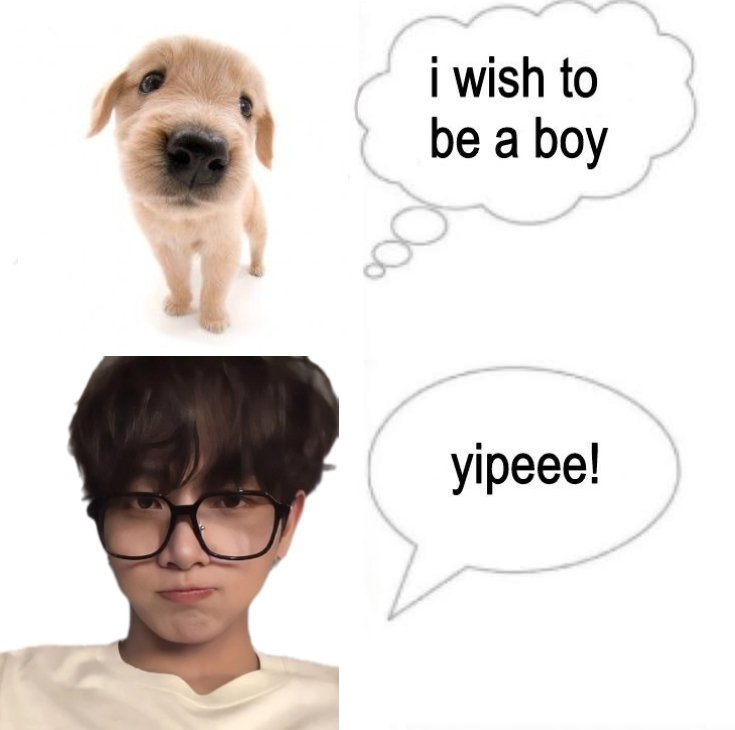 acervo jaehyun 🐶 tweet media