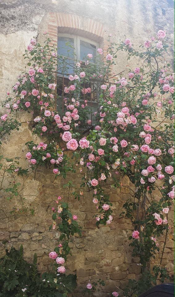 aestheticpost's tweet photo. https://t.co/HyOeCtAJRt