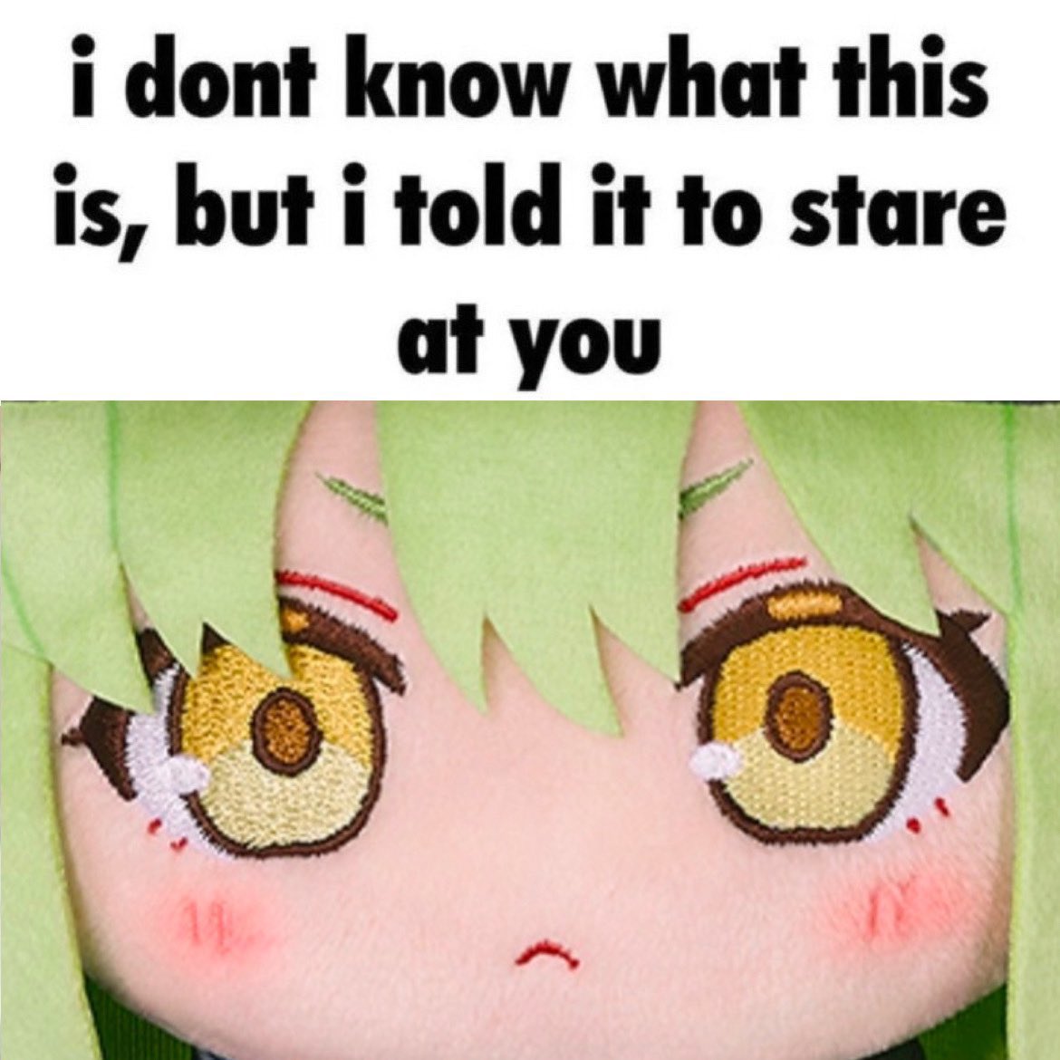 CryingEmojiman's tweet photo. https://t.co/o6deXuT5P6