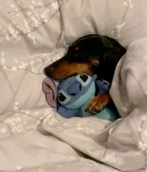 rhochicristaldo's tweet photo. Yo después de estar loca todo el día: https://t.co/Sc8zhoGkf6