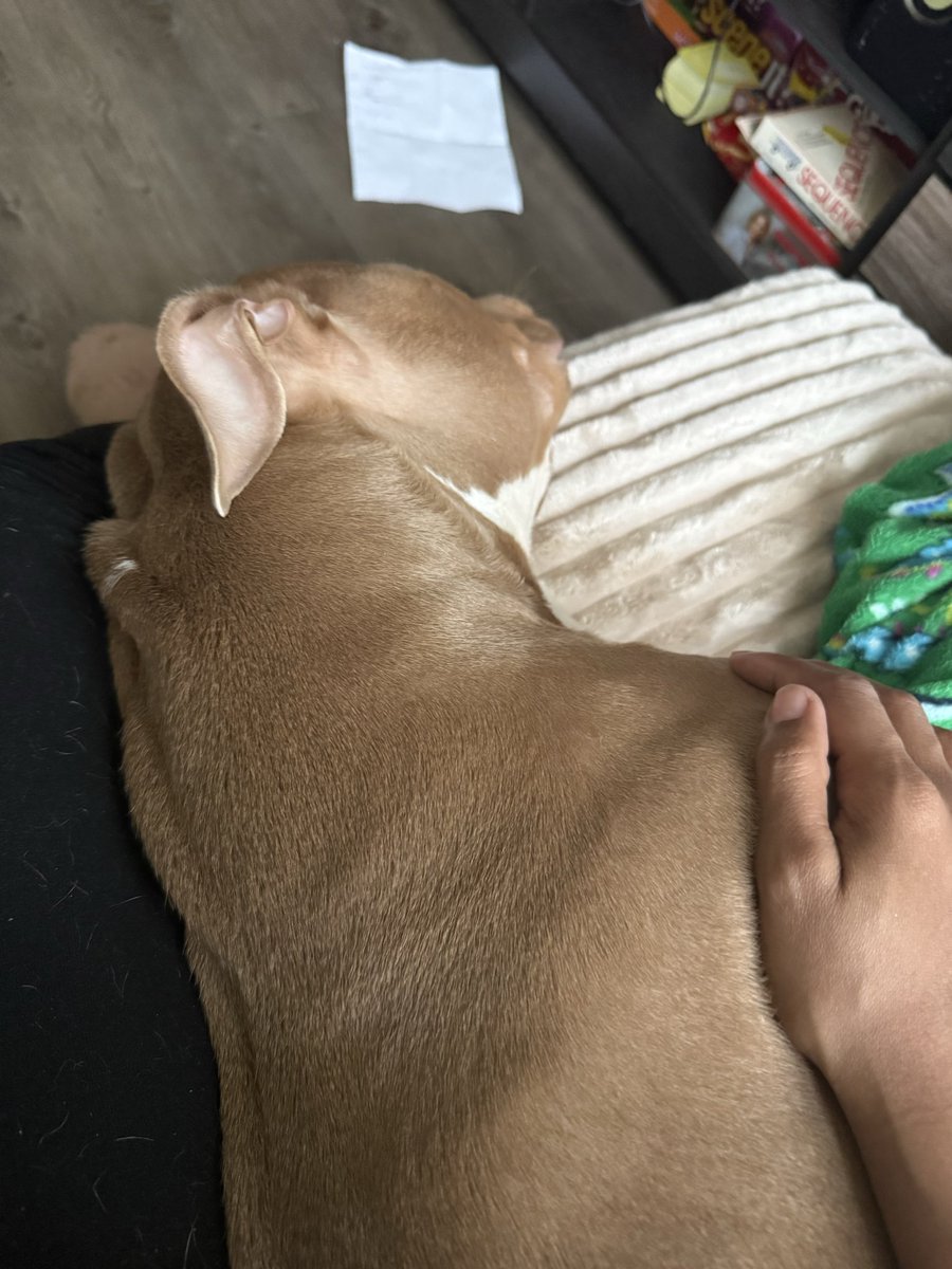 Nov_finestE's tweet photo. My baby is sick 😔 https://t.co/rOb3qxIqtu
