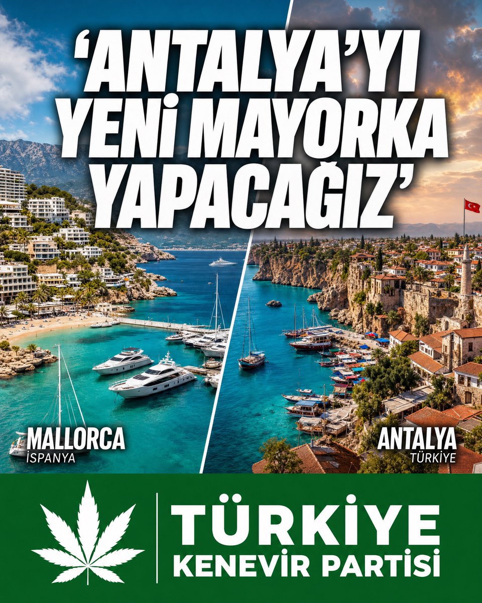 Türkiye Kenevir Partisi tweet media