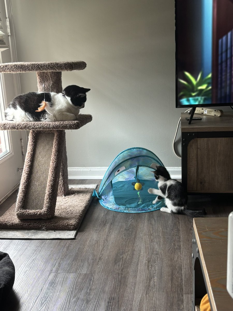 notdabug's tweet photo. progress with the chudlings is being made https://t.co/cQBItxljgy