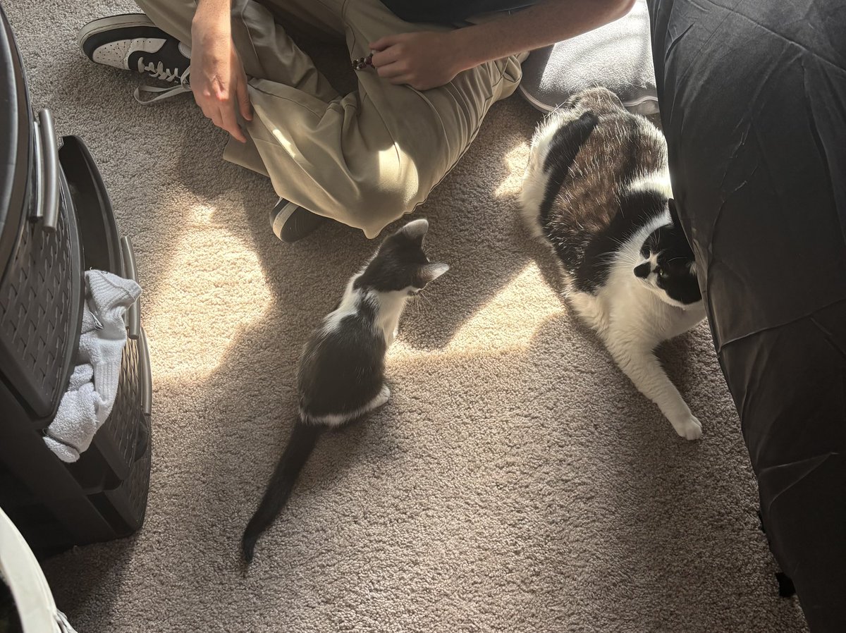notdabug's tweet photo. progress with the chudlings is being made https://t.co/cQBItxljgy