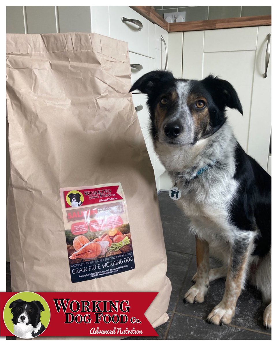 WorkingDogFood tweet picture