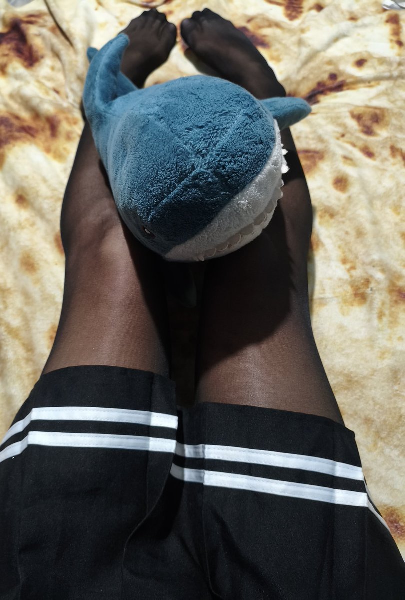 FemboyStarSix's tweet photo. #Femboy ʚ♡ɞ Just wanted to wish you all a lovely day. My shark too. ʚ♡ɞ
#cute https://t.co/TvKxXUEstg