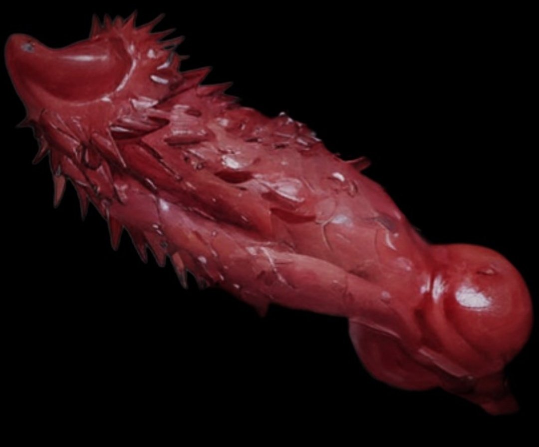 WorldofLoss's tweet photo. Litters of which consist of 4-6 pups. The wolves themselves are packing a specially evolved member, sporting many barbed penile spines for the first half of their member, as an added evolutionary boon to their rougher mating practices. https://t.co/hN9zD7qtOx