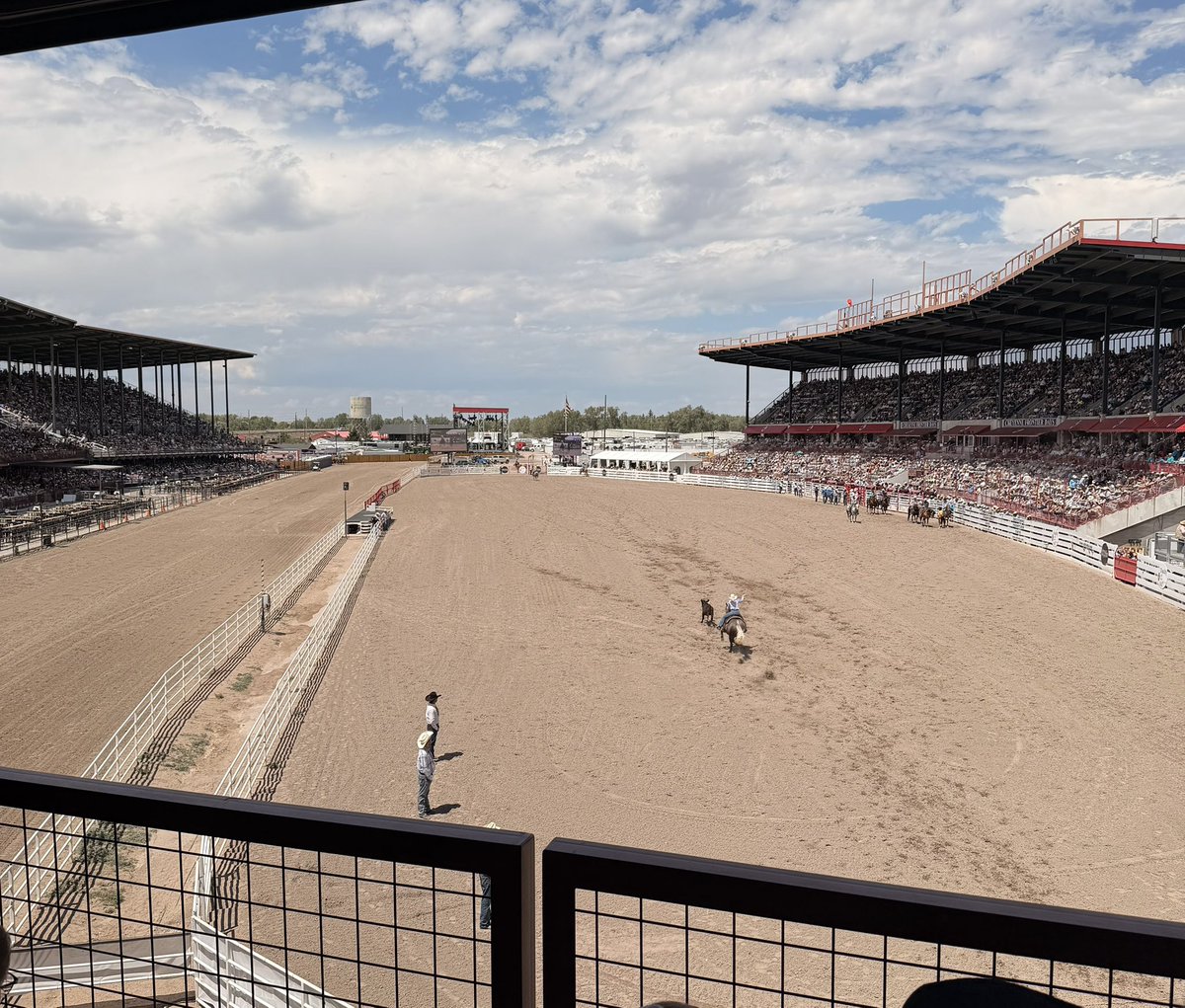 willcole's tweet photo. Long bitcoin and rodeos. https://t.co/QYNYjCTqPJ