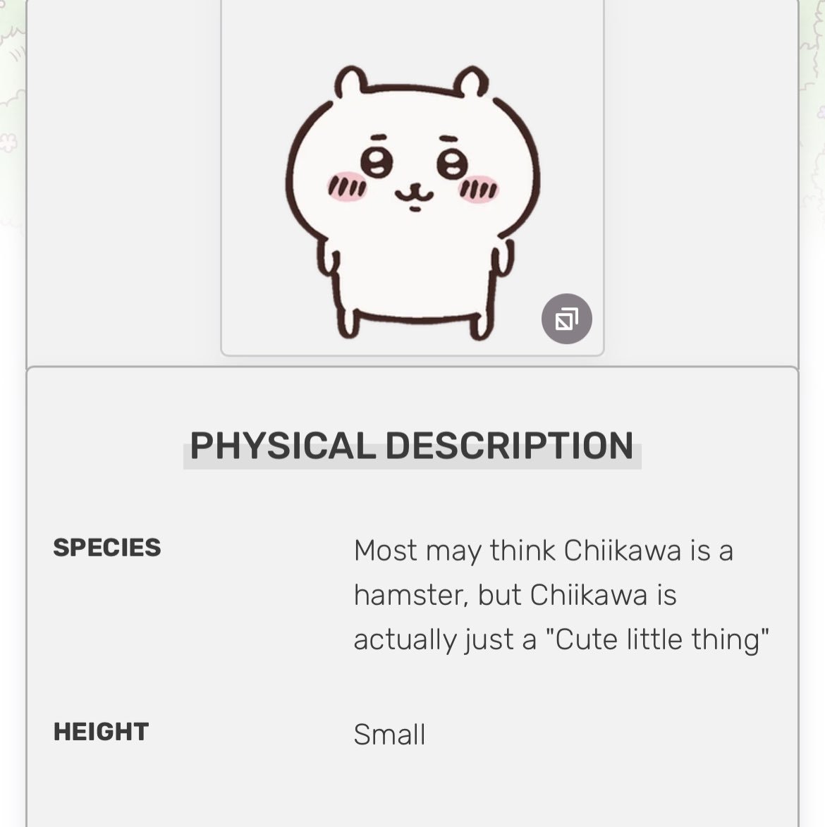 meowkkotsu's tweet photo. chiikawa's height just being "small" 🥺🥹 https://t.co/80rqP8ISJG