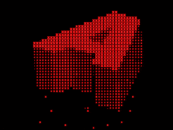 WNBASFChapter's tweet photo. Sometimes It’s O.K. to Let a Language Die | The New Yorker https://t.co/0iXYUf4SgJ https://t.co/QNQNSLZcIP