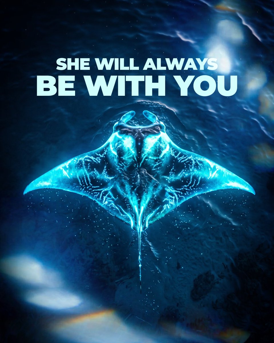 CinepolisUSA's tweet photo. The ocean always guides us home. 🌊✨ No matter how far you sail, loved ones are never truly gone experience #Moana, in theaters! ⛵️🌺

Ready to answer the call of the sea? https://t.co/XGzeZTmK03 https://t.co/A08ykL9PI8