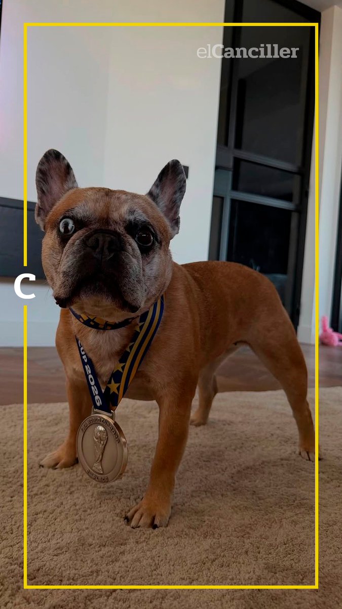 elcancillercom's tweet photo. [REDES] "Hogar, dulce hogar": recién llegado después del Mundial, Tagliafico posó en su casa con "Caro" Calvagni, y le puso la medalla de segundo lugar a uno de sus perros. 🐶 https://t.co/LcXhlus9MS