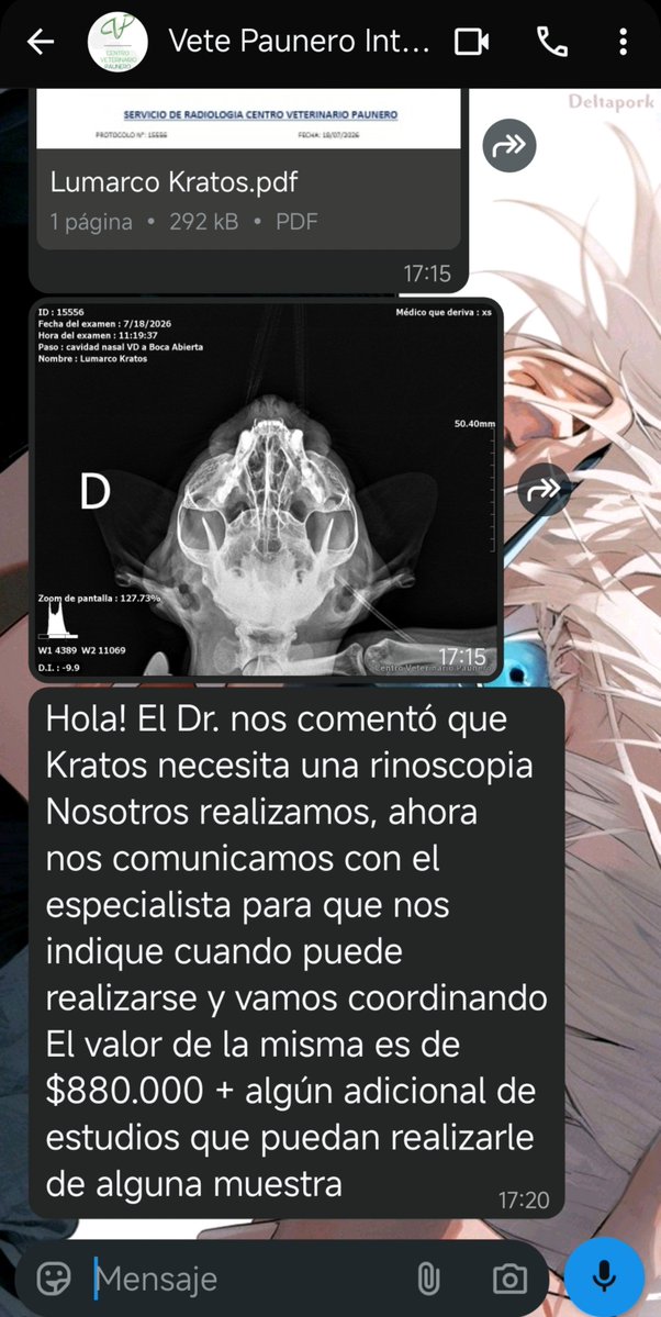 MadreDeOsitos's tweet photo. Debemos más de 1 millón de pesos por la internación de Kratos y preciso juntar otros 880 para su rinoscopia POR FAVOR todo suma, todo ayuda, difundir y compartir también!
Más info en el IG: FilipoPif 🙏🏻 https://t.co/jAnRMhCodI
