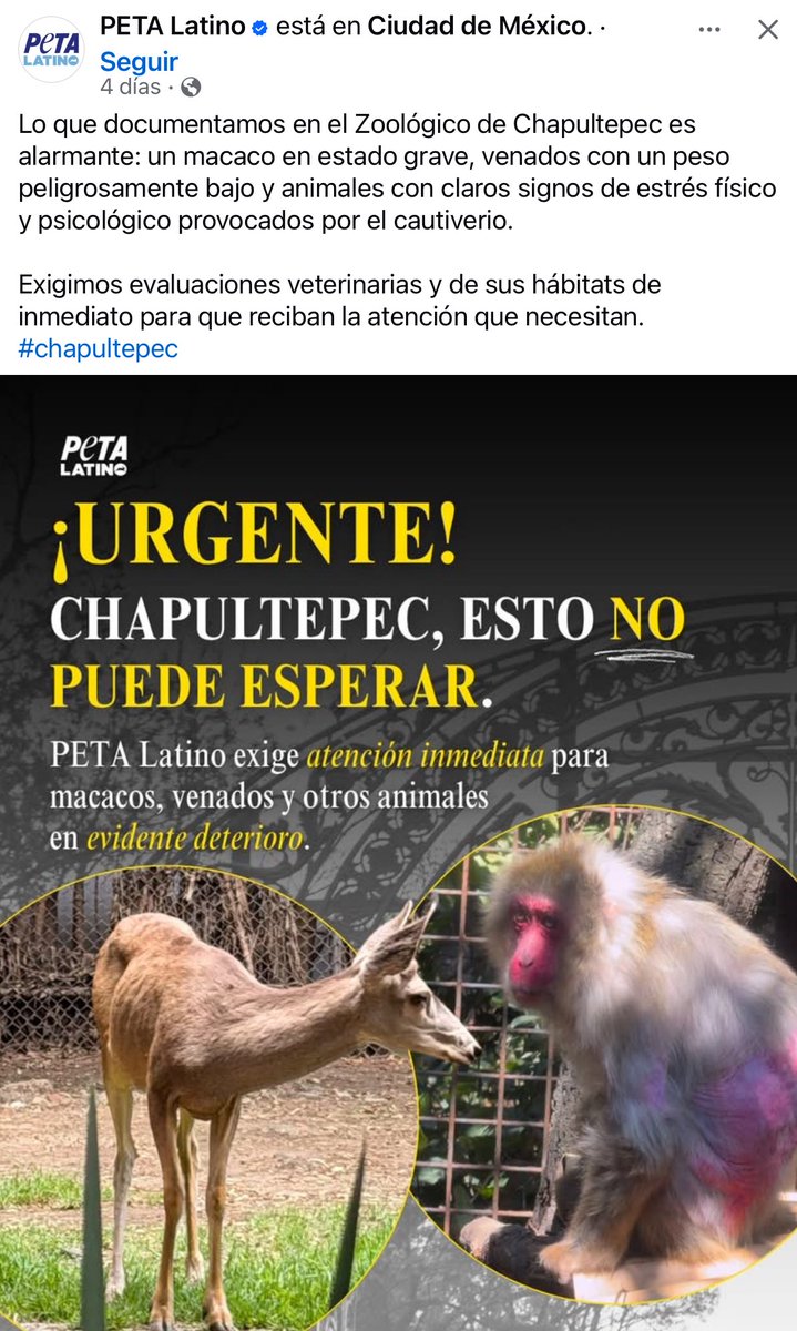 Los Héroes De Ixtapaluca tweet media