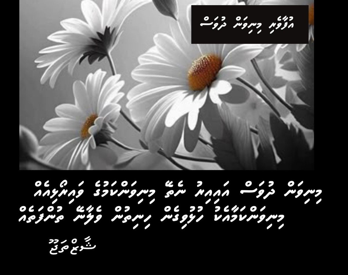 shaazthajoo's tweet photo. އުފާވެރި މިނިވަން ދުވަހަކަށް އެދެން♥️♥️♥️♥️ https://t.co/dyEbrBIfQ6