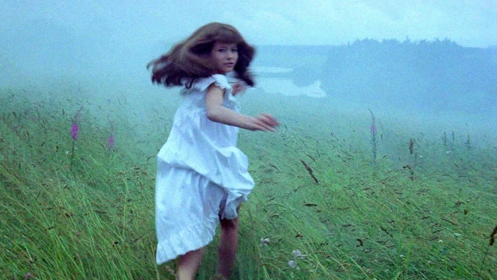 ChandollAkerman's tweet photo. Current Film Top 4:

Je Tu Il Elle (1974)
Valerie and Her Week of Wonders (1970)
Blade Runner (1982)
Castration Movie Anthology ii. The Best of Both Worlds (2025) https://t.co/jmScOsu6dk