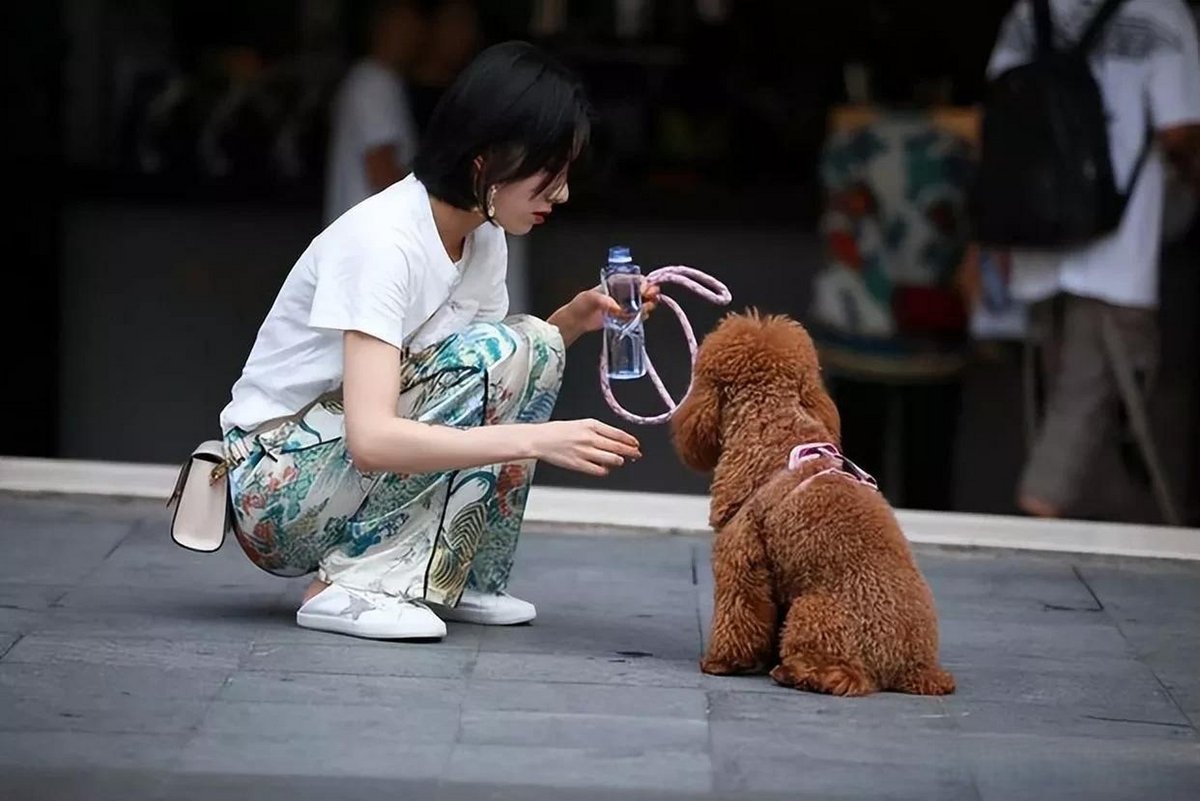 2ozDHcMX9FVUf0S's tweet photo. Stranger held the door for me with my hands full of grocery bags and a wiggling puppy—small act, huge warmth. Grateful for this little unexpected kindness today. https://t.co/pwKPrRSpiS