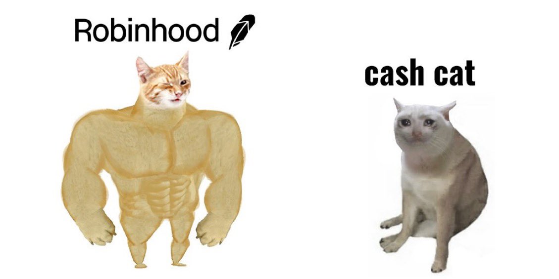 noodlecore_'s tweet photo. Doge had Cheems. 

Cashcat has Robinhood. 

Both follow the lore of beloved memes by two billionaires. https://t.co/QjkFiqWG8k