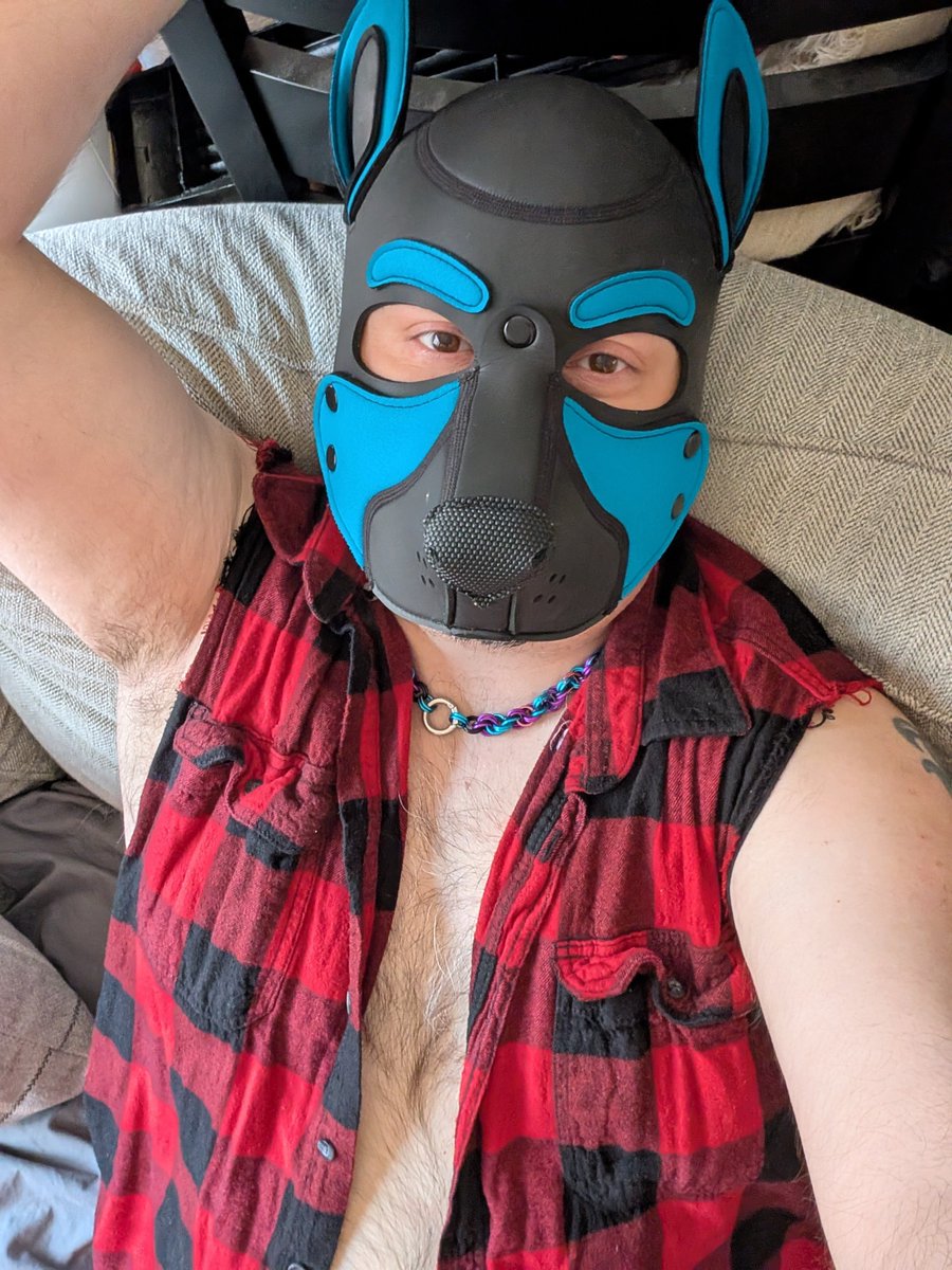 PupNeruo's tweet photo. Who wants to be a good puppy and come huff my pits and worship my bone/hole/paws 🐾 https://t.co/EyZnGPecvJ
