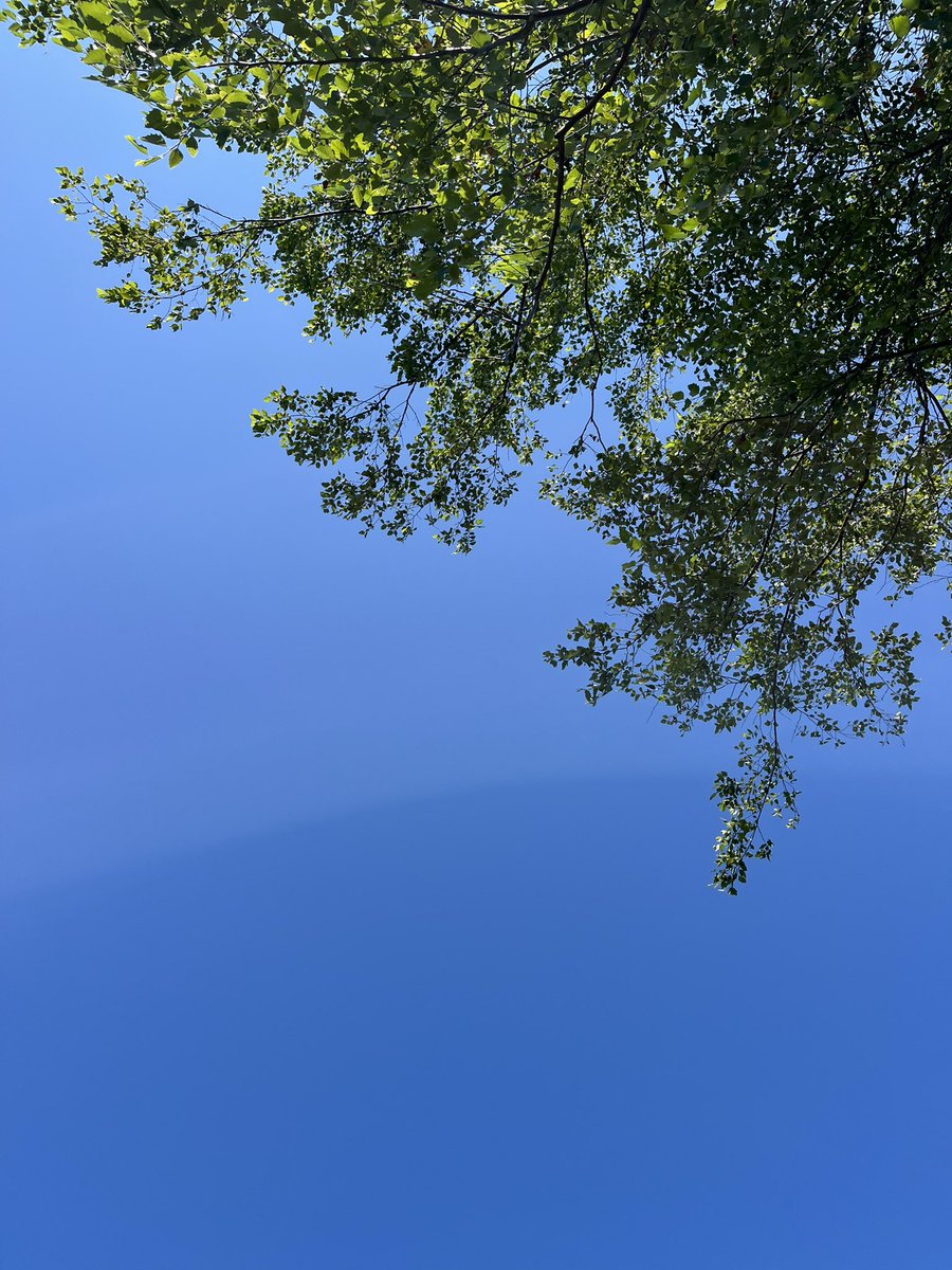 omochi_gohan's tweet photo. 良い天気で気持ち良いけど、さすがに海沿いは寒いわね https://t.co/CjQRIJeEby