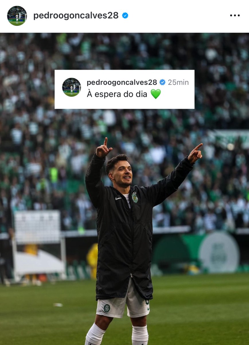MateoTancurto's tweet photo. O problema de não fechar os ciclos no momento certo é este

Acaba o ciclo de Pote e a última imagem não foi incrível como foi o Pote durante 5 anos
Top 3 melhores marcadores da história do Sporting e decisivo em 3 ligas

Reconhecimento merecido
Acabou, e foi um prazer Pote 💚🦁 https://t.co/4pKx2E3V23
