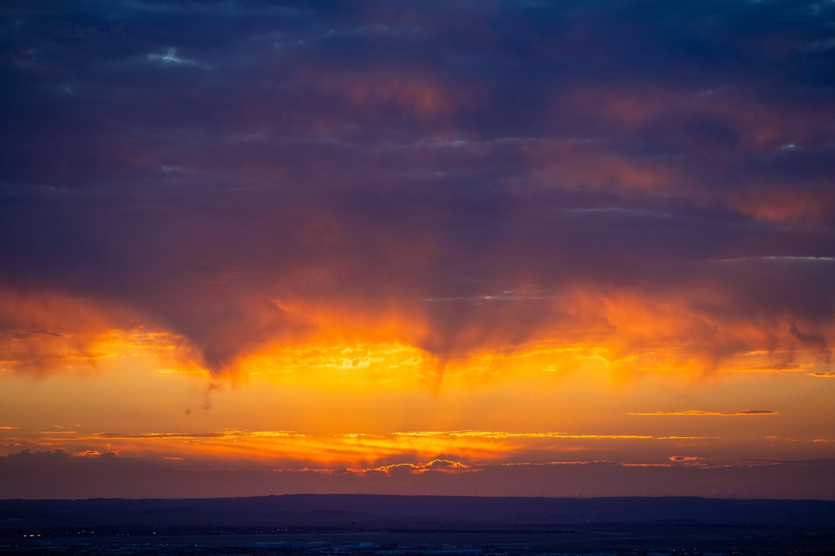 SandySmith26248's tweet photo. Post your Purple and Orange Photos https://t.co/SiFiHlUxjz