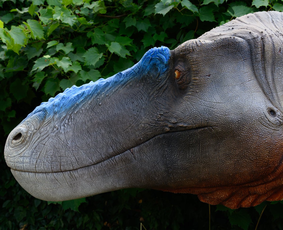 JedTaylorArtist's tweet photo. Wayne the Nanotyrannus has been enjoying his day at #DinoConUK https://t.co/cEQ2aOCLCF