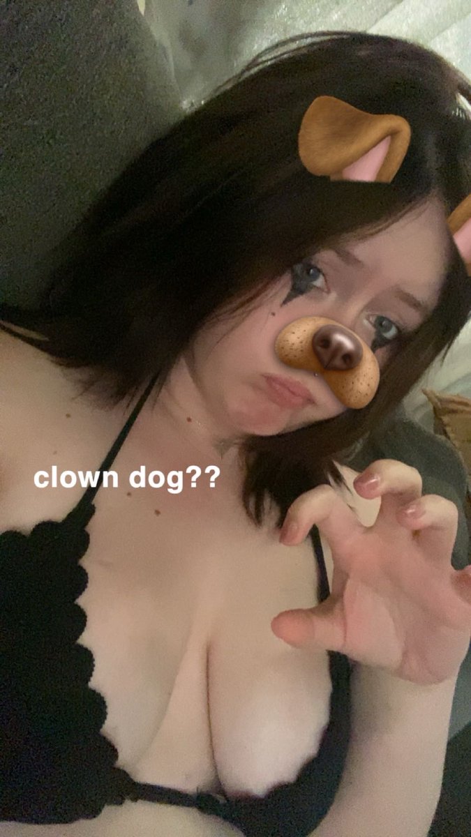 curseofviolet's tweet photo. make me bark
 #nsfwtwtًً  #goonette #goon #breedingkink https://t.co/QFuiG5QOd9