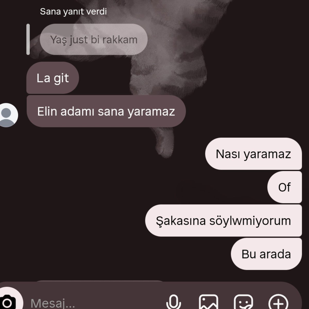 a3nra's tweet photo. Kurban olduğum yıllardır bana laf anlatmaya çalışıyo hala pes etmedi bu da benim sebebim https://t.co/9cD1ZbZLzy