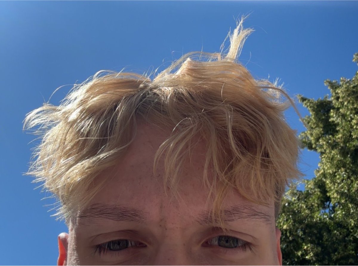 wailables's tweet photo. Why did they do this to me… https://t.co/ARl91Hyz0A