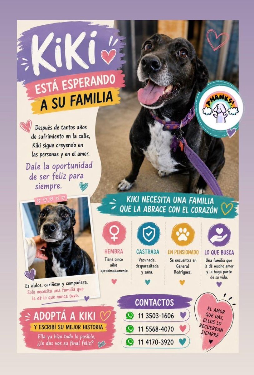 salvinamusica's tweet photo. Este perrito vivió demasiado tiempo en la calle. ¿Lo ayudamos a que encuentre una familia?
Rt. por favor https://t.co/SdRbnReaBs