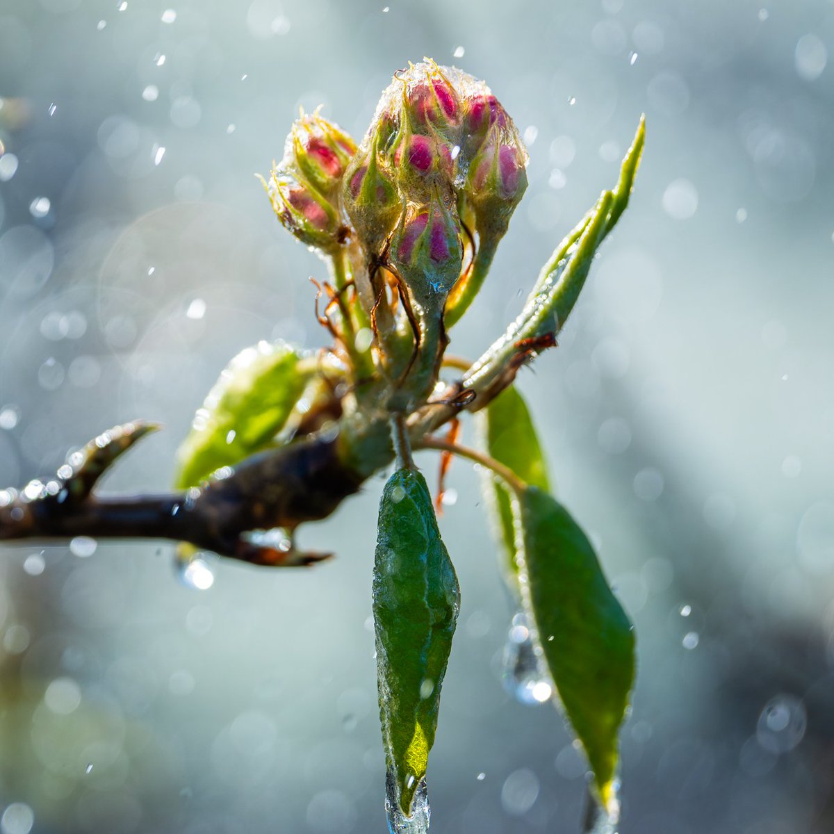CattaneoAda's tweet photo. Cerca chi è sole che illumina la tua vita, acqua che nutre la tua anima, poesia che culla il tuo cuore, presenza che dà senso ad ogni tuo istante. Splendida domenica a tutti <3 https://t.co/I0ihsVn2BM