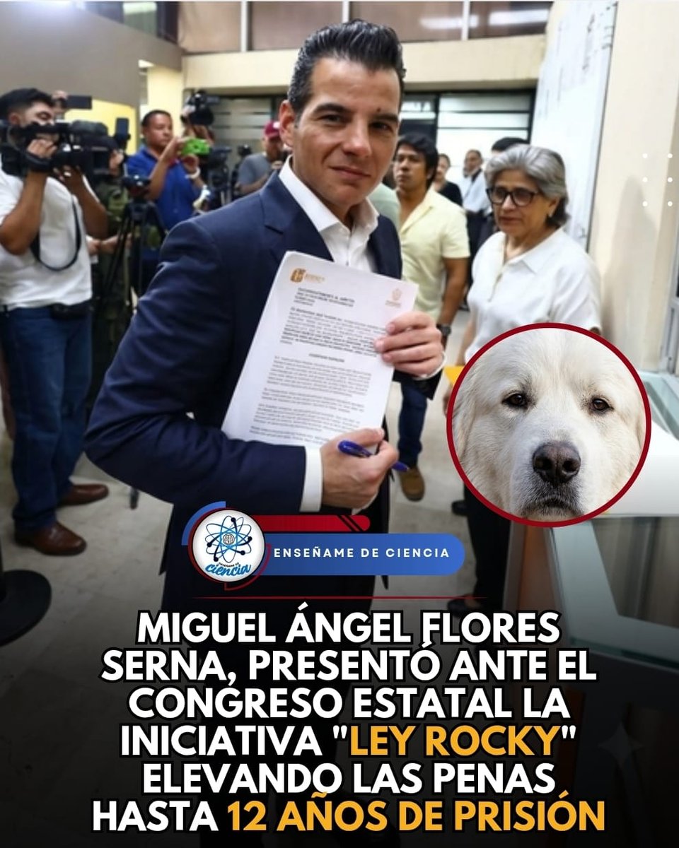 Enséñame de Ciencia tweet media