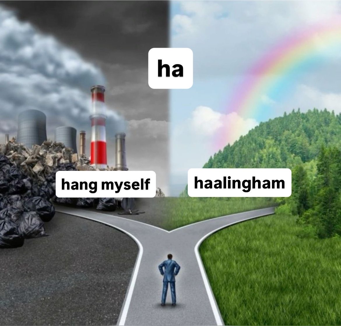 haaIinghams's tweet photo. life lately https://t.co/iZWhS0UEq1