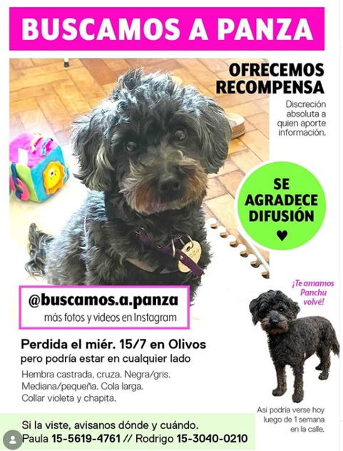 coritalacaniche's tweet photo. ⚠️ PERRITA PERDIDA EN ZONA NORTE ⚠️
Se escapó en Olivos pero hay alertas de haberla visto corriendo por Florida, Villa Martelli, Villa Ballester y San Martín.
Se llama PANZA y está asustada (no intentar agarrarla bruscamente).
🔄 Por favor dar RT para difundir en la zona. https://t.co/DQ9t8s5tDx