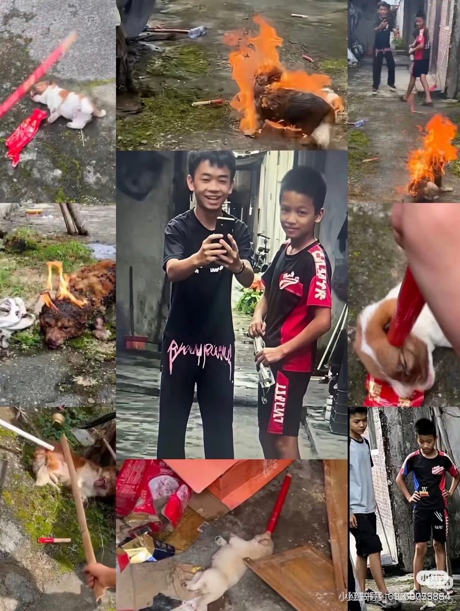 DylanWangMG's tweet photo. @Zang_6 @aunan1617 @cbmh17162425 @rein_mizusawa @CBP Report here: https://t.co/jEKeTZkJ5J They weren'tsent to correction institute. All lies&amp;cover up 
TheirAddress:Pingpu Village,Xinheng Town,Jiedong District,Jieyang City,Guangdong Province,China 
Their names: Zhong,ZiShuo//Zhong,YuXuan// Zhong,SiXin// Zhong,XiSheng//Zhong,XiaoNeng https://t.co/xHZV56ziLF