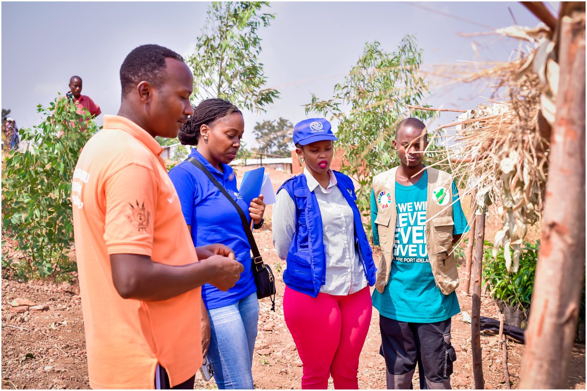 2250Ishaka's tweet photo. 📌Today, we were honored to welcome the @IOM_EHSA @IOMBurundi to ISHAKA 2250 and the Gateri displacement site for a #CCMD project monitoring visit.

🟢The day began with an introductory meeting to review the project's objectives, expected outcomes, implementation progress, and key monitoring indicators. Together, we reflected on lessons learned, reviewed project documentation, and aligned on the field mission ahead.

🟢In Gateri, the delegation met with some beneficiaries, visited the community-led tree nursery, and exchanged with the project agronomist on seedling production, survival rates, species selection, and the long-term sustainability of this nature-based solution.

🟢Women and displaced families are growing more than tree seedlings—they're restoring ecosystems, rebuilding livelihoods, and planting hope for future generations.

👏Together with @UNmigration, we're proving that the most powerful climate solutions are locally led. 🌍💚

@IOMDenmark @IOM_MECC @IOMKenya @IOM_Nordics @DanishMFA   #NatureBasedSolutions #KDMECC #LeaveNoOneBehind #ClimateAction